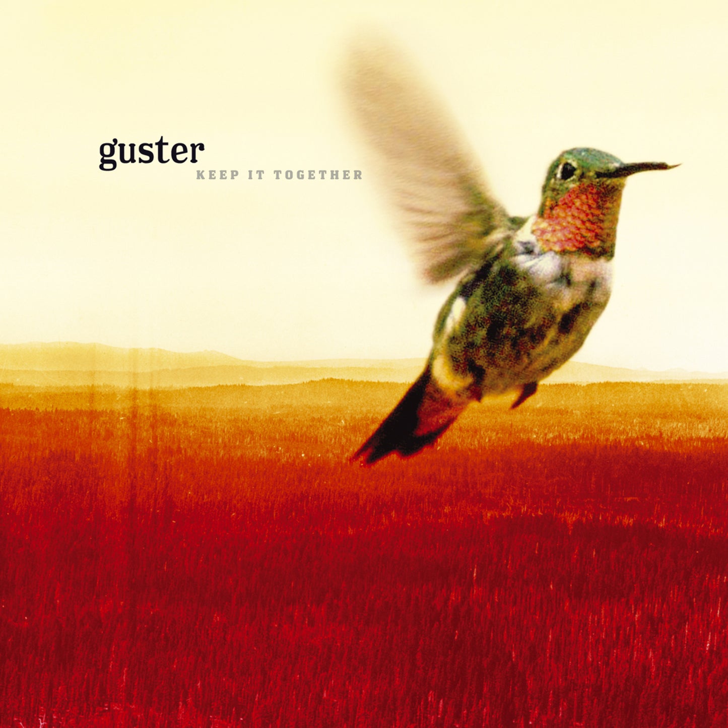 Album cover for Guster’s “Keep It Together” featuring a hummingbird in flight.