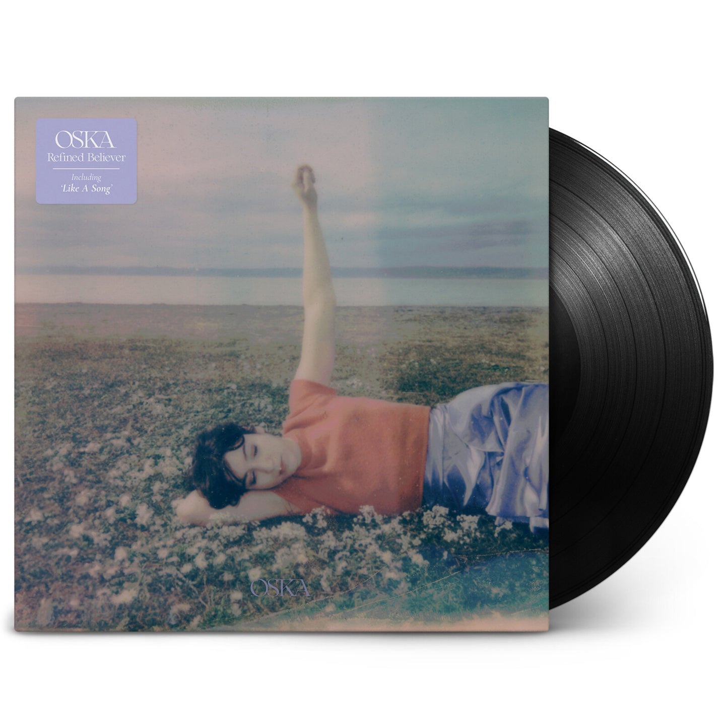 Vinyl record with cover art of a person lying in wildflowers.