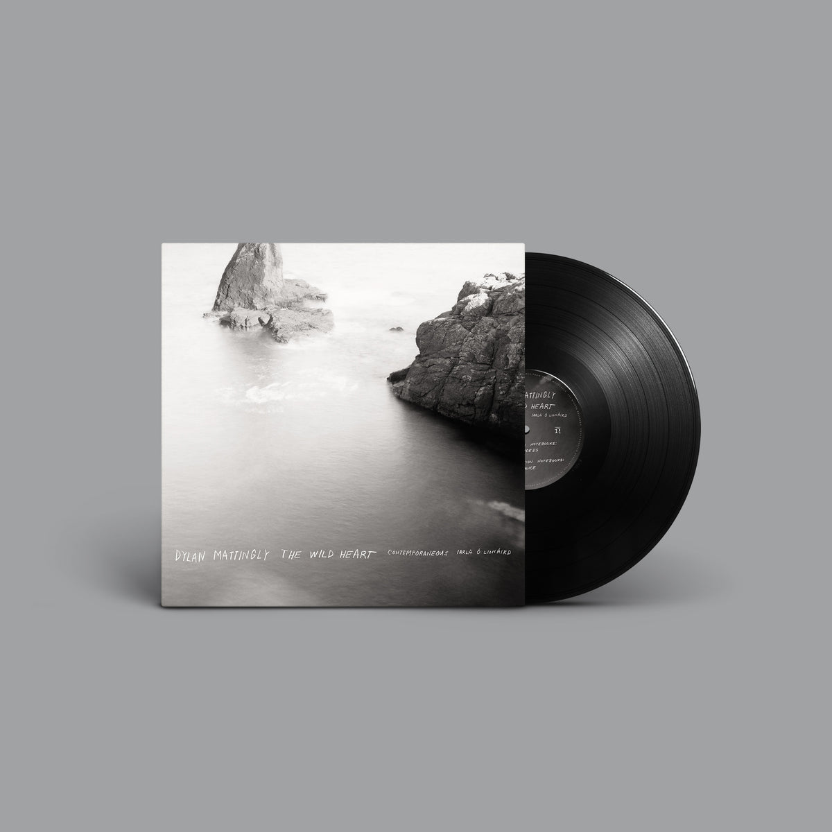 Vinyl record with a coastal landscape album cover in grayscale.