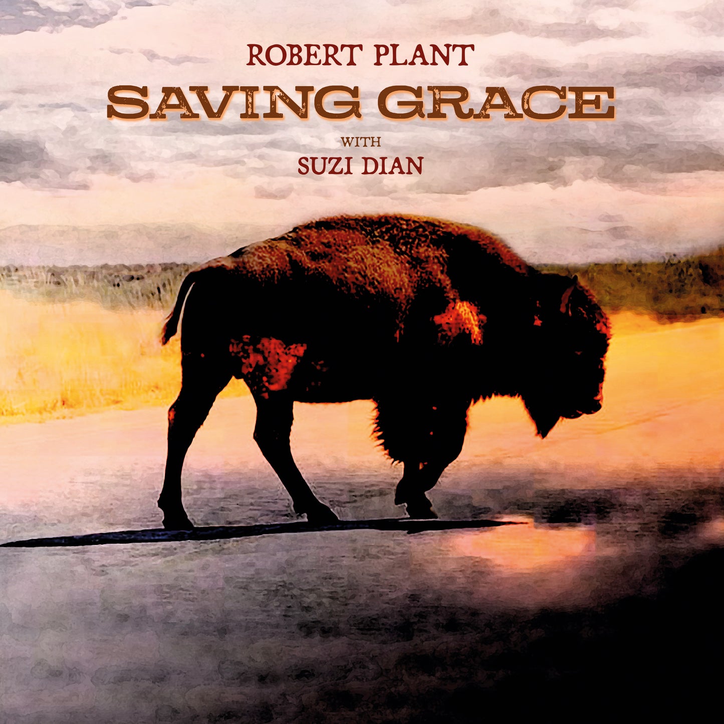 Album cover for Robert Plant's "Saving Grace" featuring a bison silhouette.