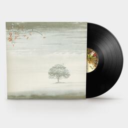 Genesis "Wind & Wuthering" vinyl record with landscape cover art.