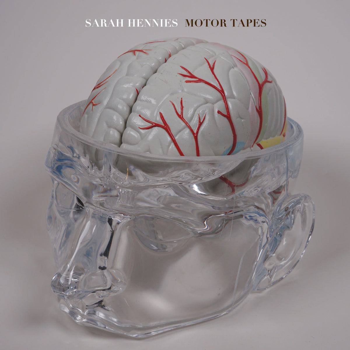 Brain model inside a clear plastic skull, with album title above.