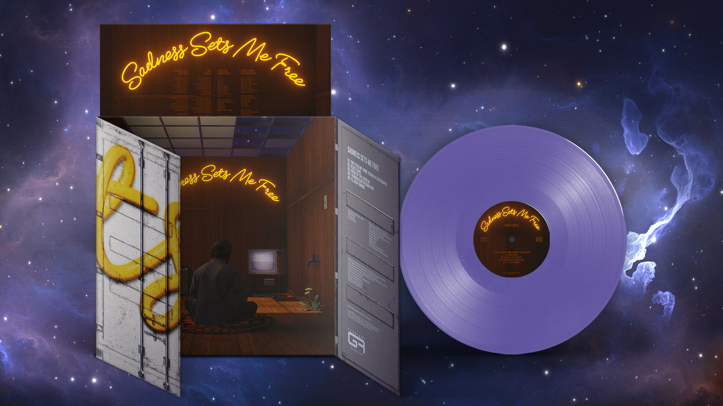 Gruff Rhys’ “Sadness Sets Me Free” vinyl record and album cover displayed.