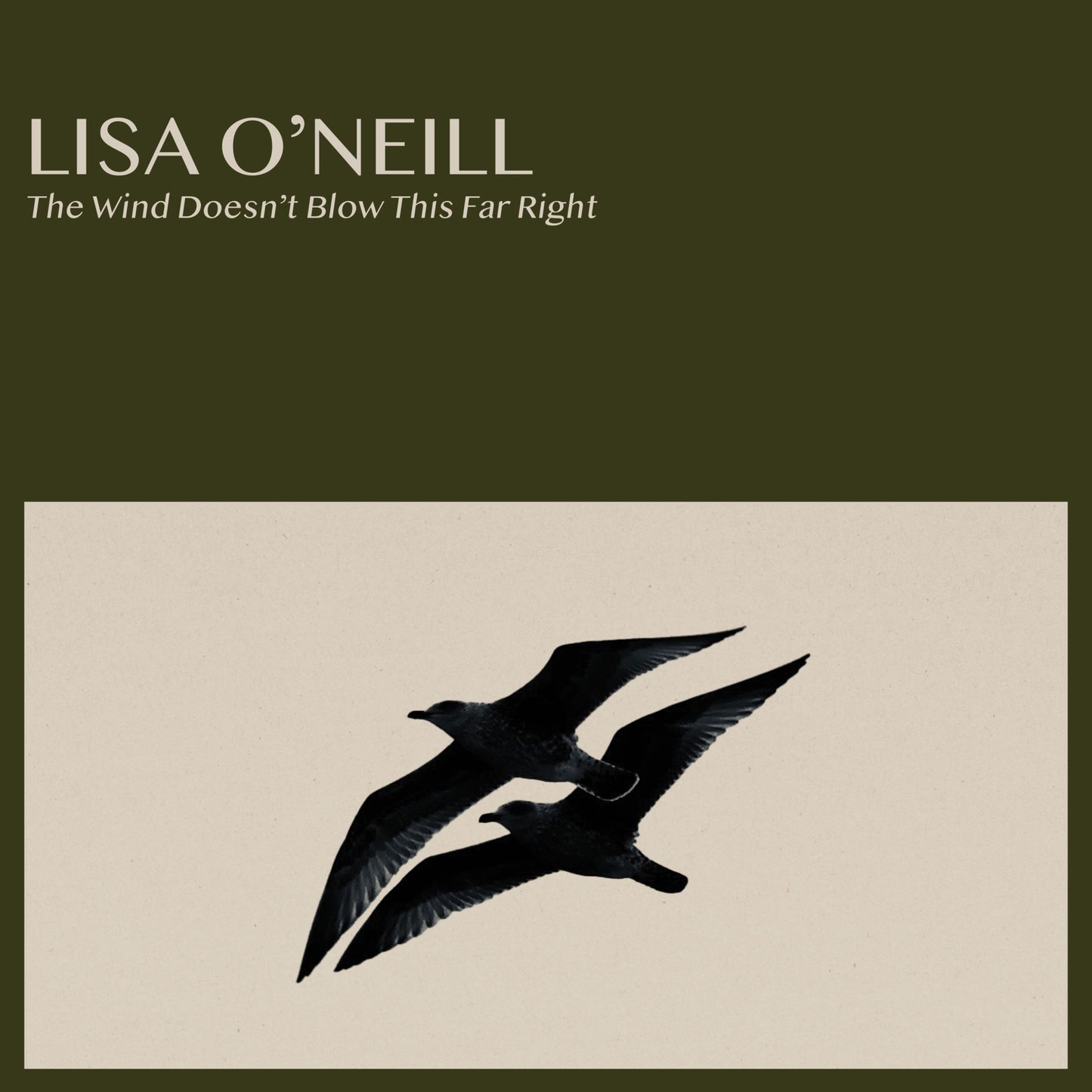 Album cover for Lisa O’Neill featuring silhouetted birds in flight.
