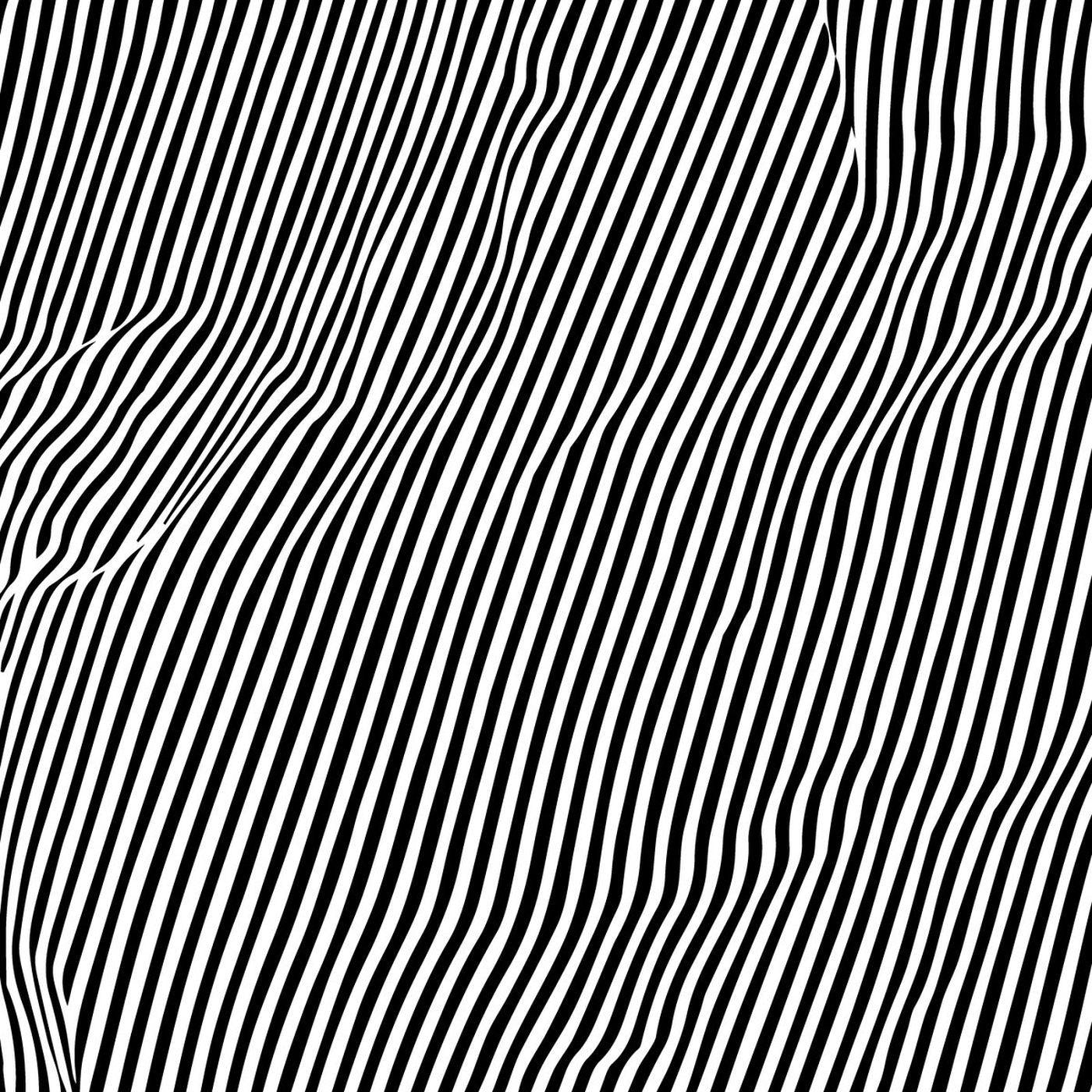 Black and white optical illusion of wavy, parallel lines.
