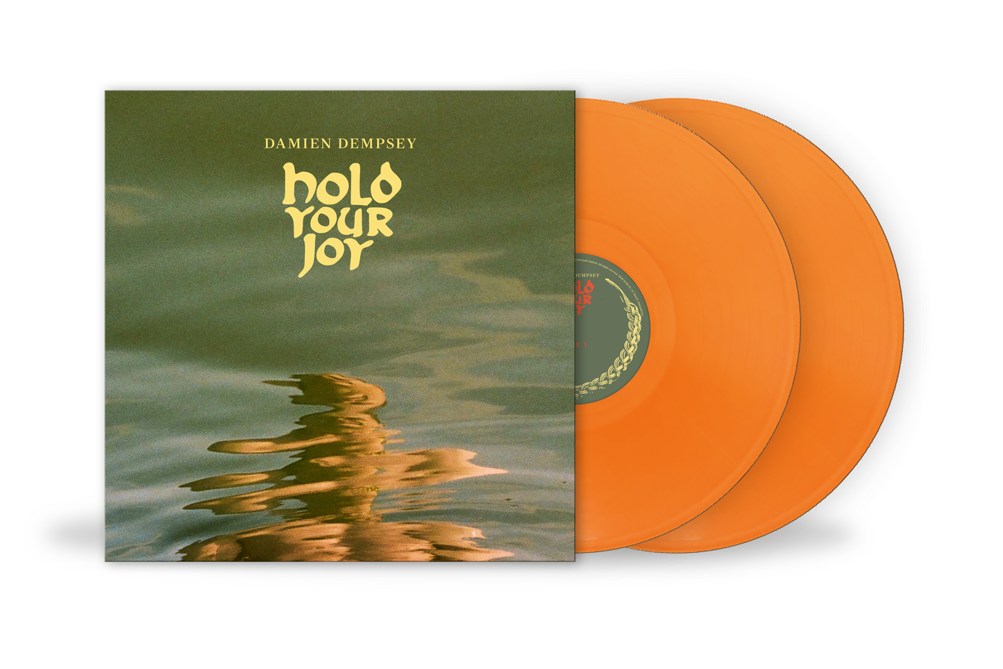 Damien Dempsey Hold Your Joy vinyl record cover with two bright orange vinyl discs.