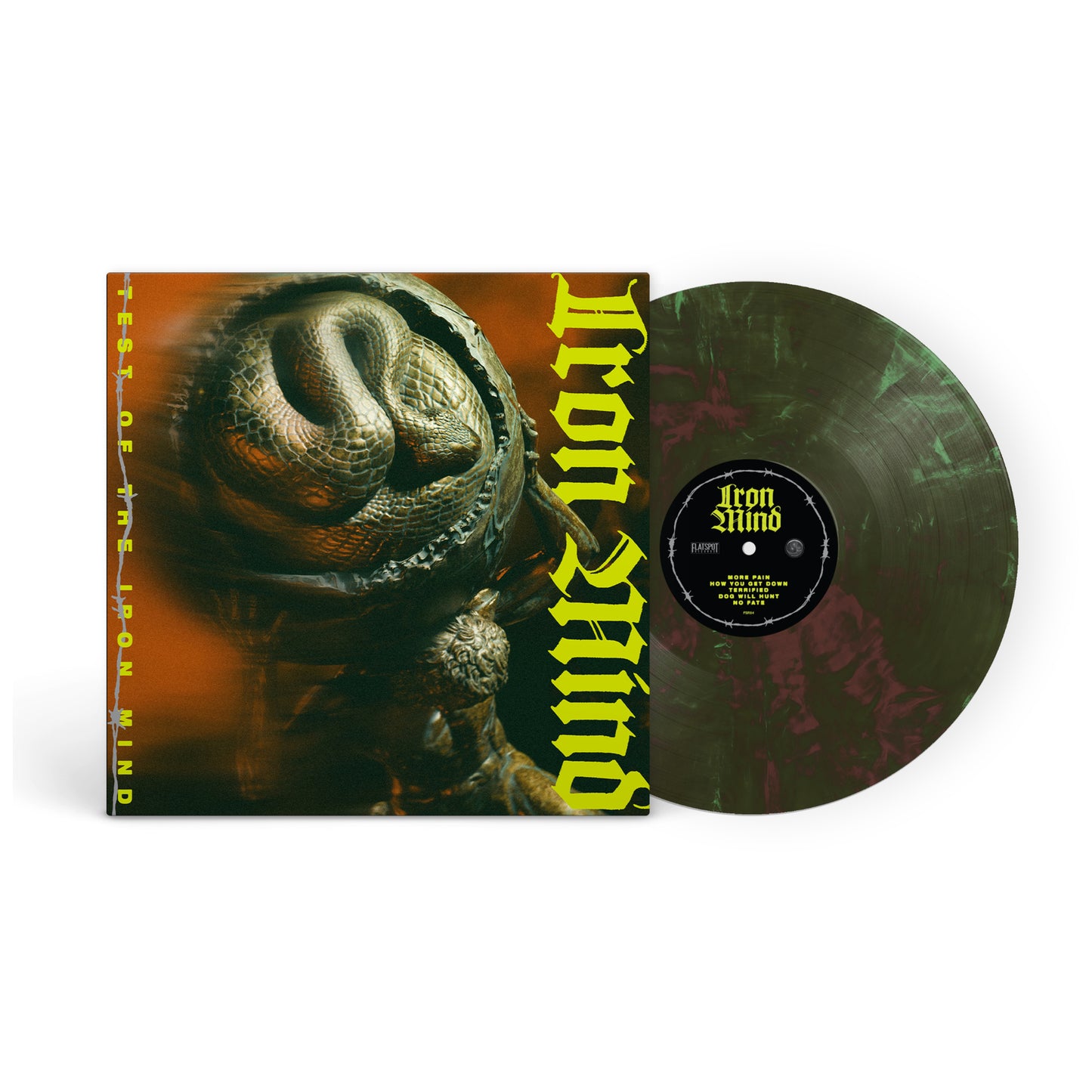 Vinyl record with a snake illustration and band name "Iron Mind".