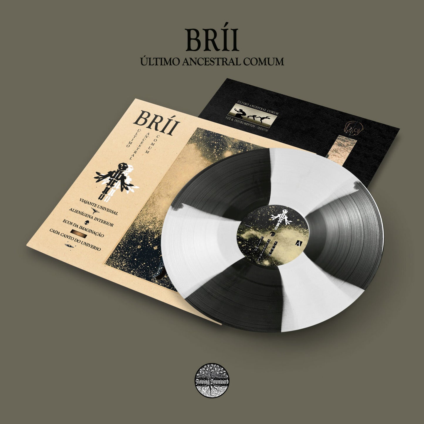 Vinyl record with black and gold cover featuring insect illustration.