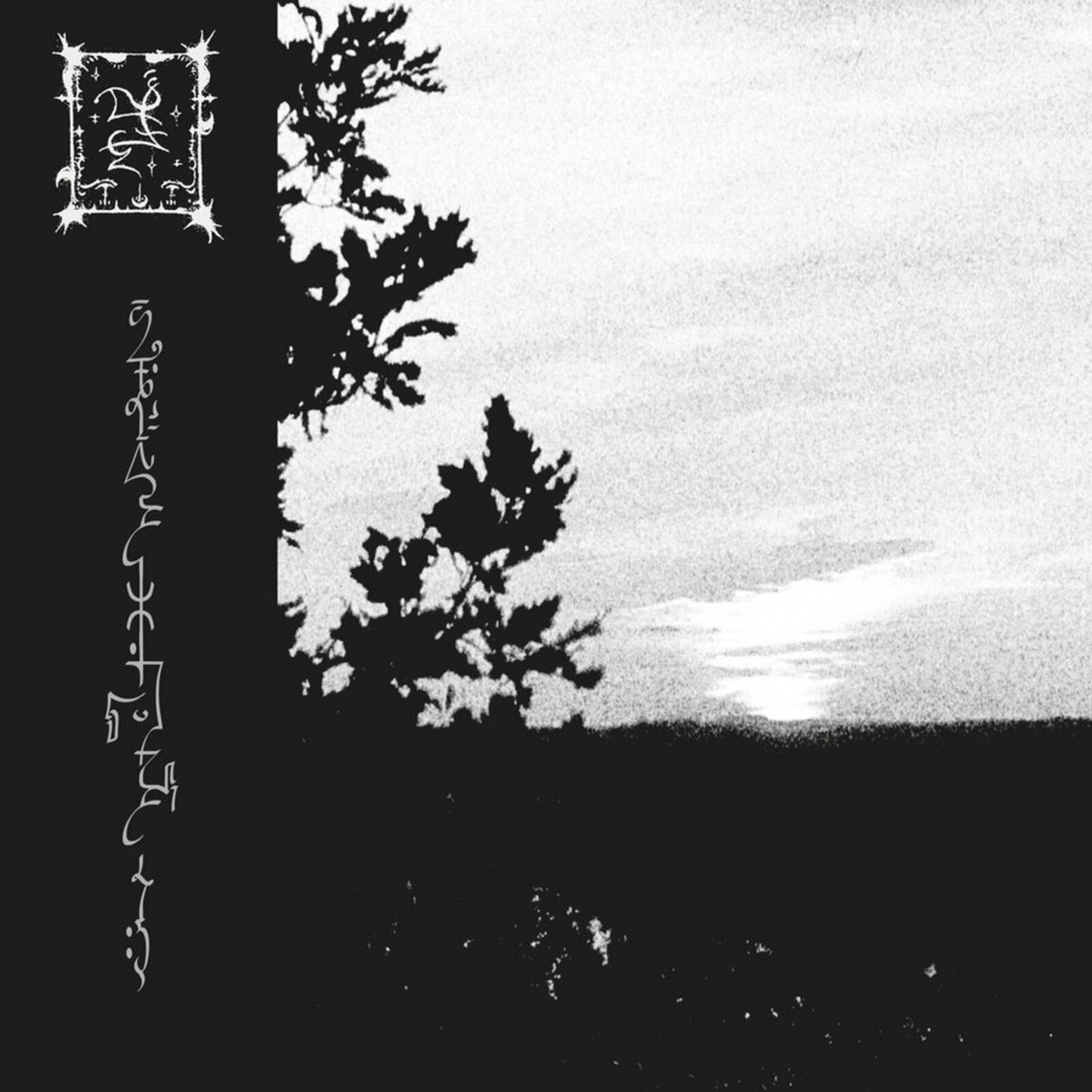 Black and white vinyl record cover with tree silhouette and text.