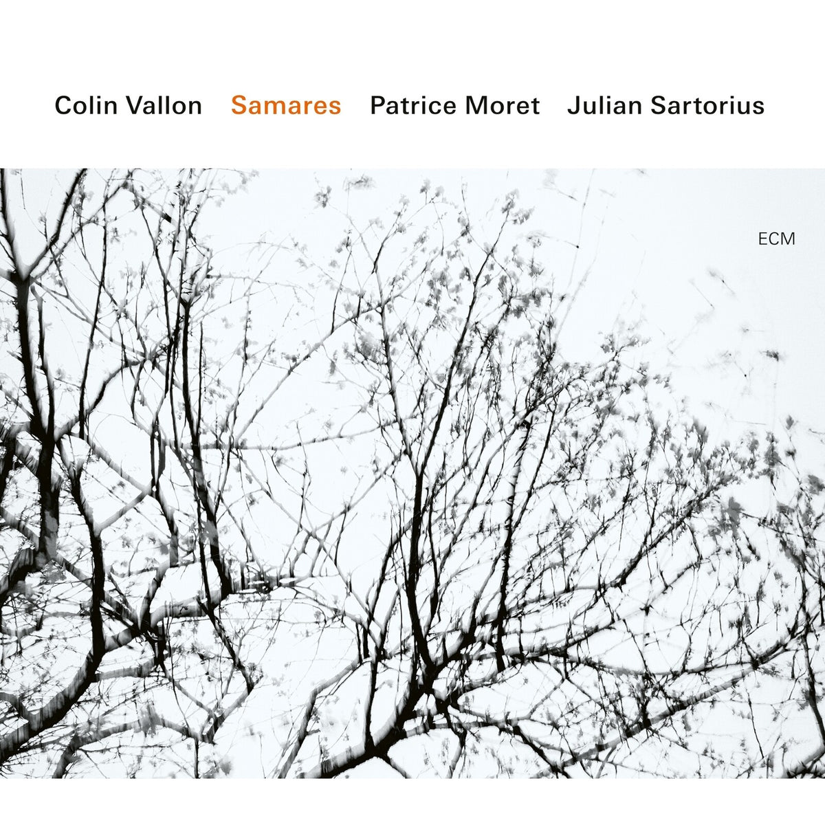 CD cover with black and white image of bare tree branches.