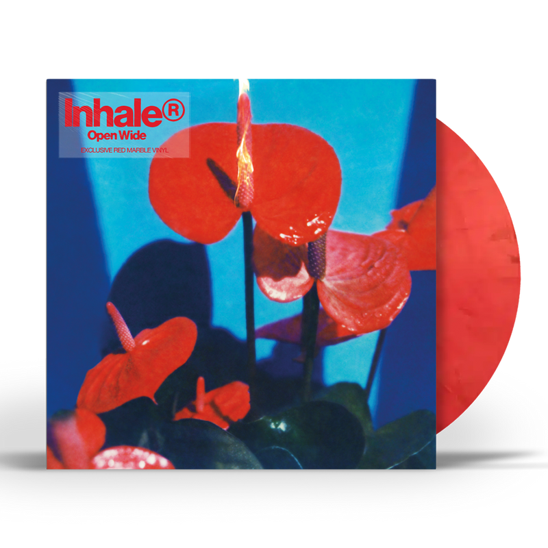 Vinyl record cover with red and blue floral image, red marbled disc.