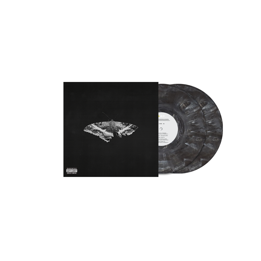 Kendrick Lamar To Pimp a Butterfly album cover with two black marble vinyl records.