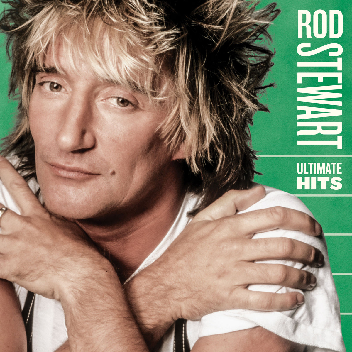 Rod Stewart album cover featuring a portrait of the singer.
