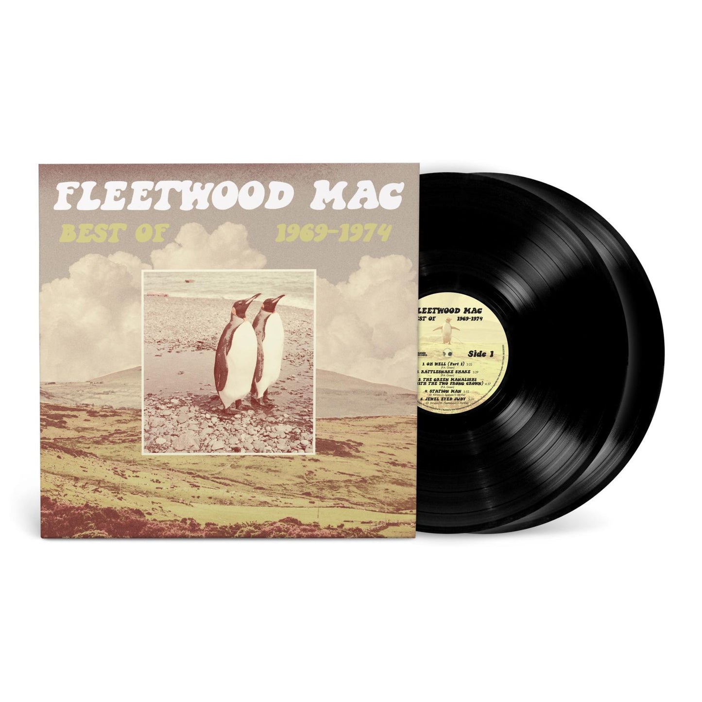 Fleetwood Mac vinyl record with a landscape album cover and black disc.