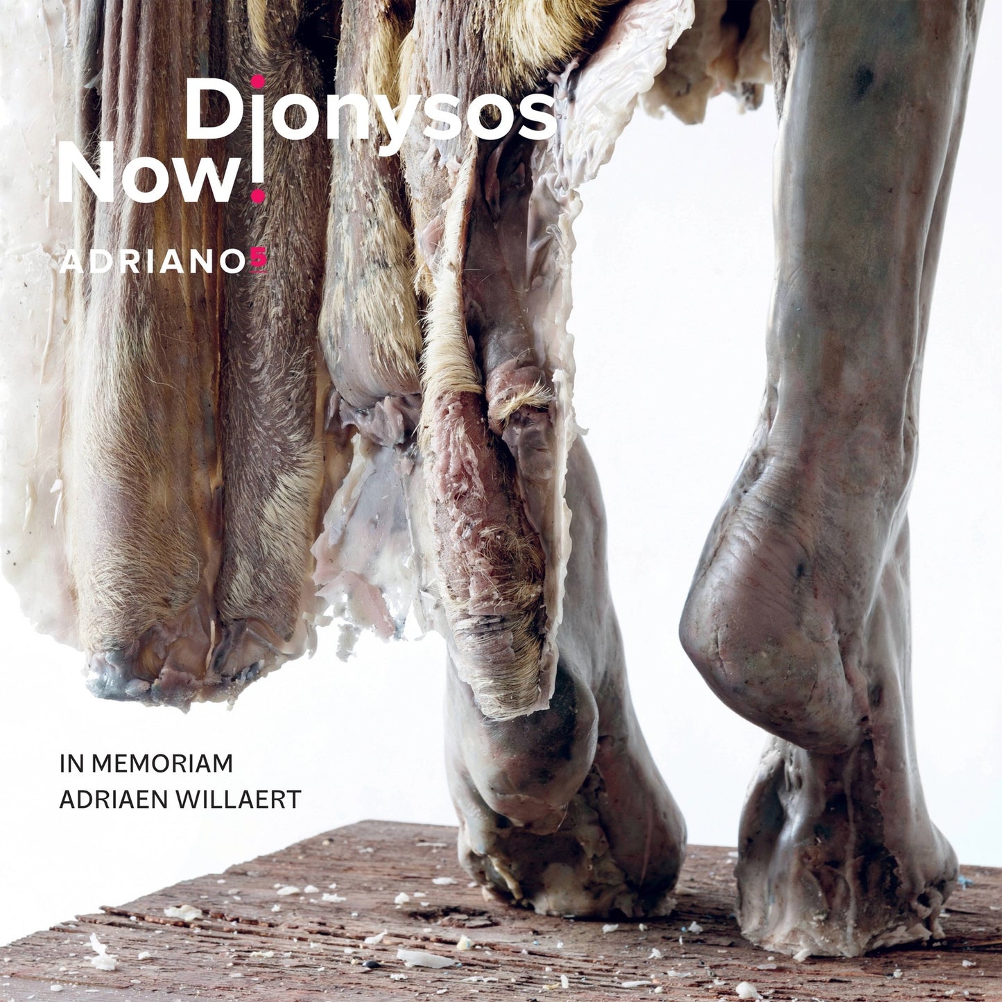 CD cover for “Dionysos Now! - Adriano 5” featuring a horse’s neck.