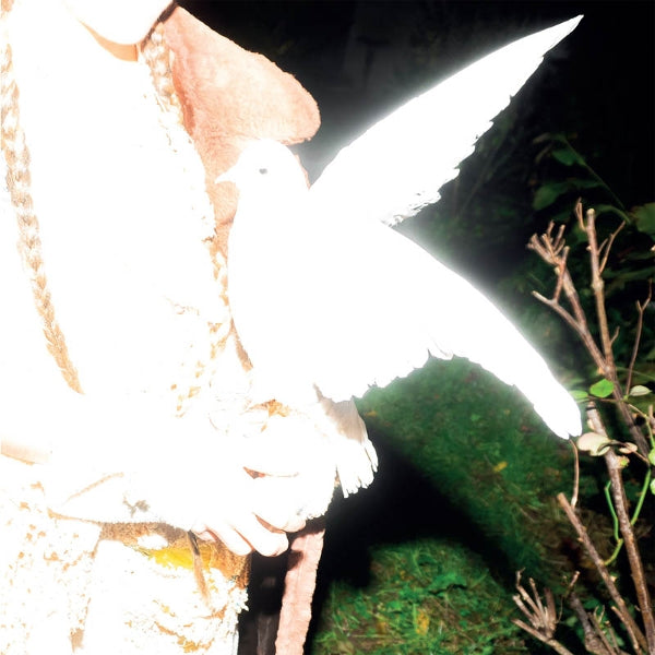 Woman with braided hair and a bright white dove on her hand.