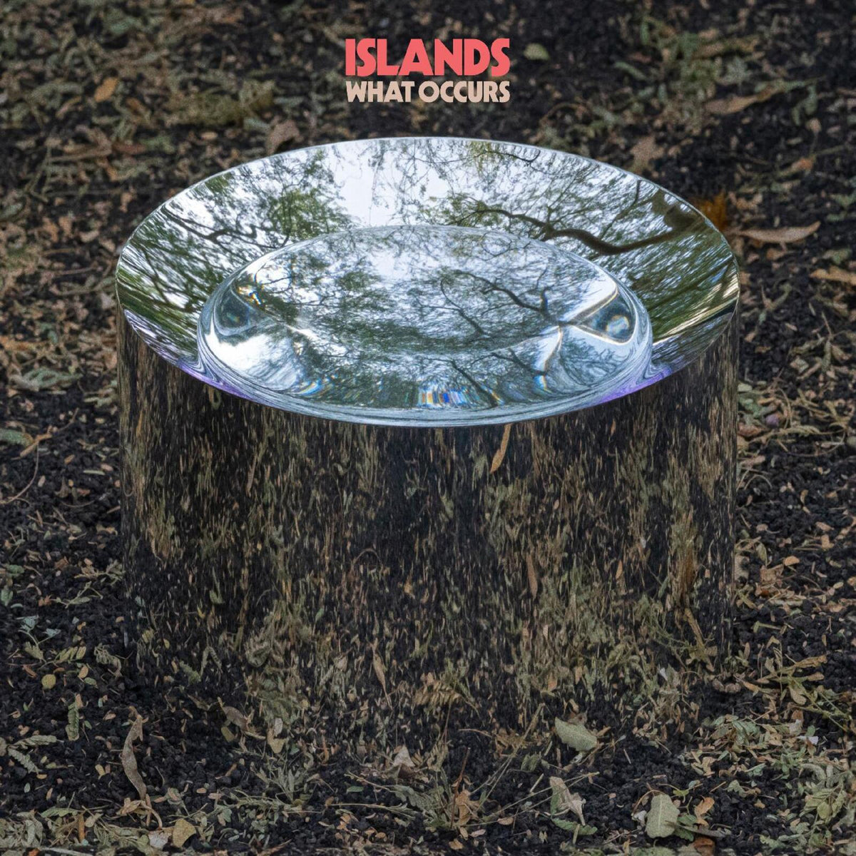 Album cover for Islands’ “What Occurs” featuring a tree stump and reflective surface.