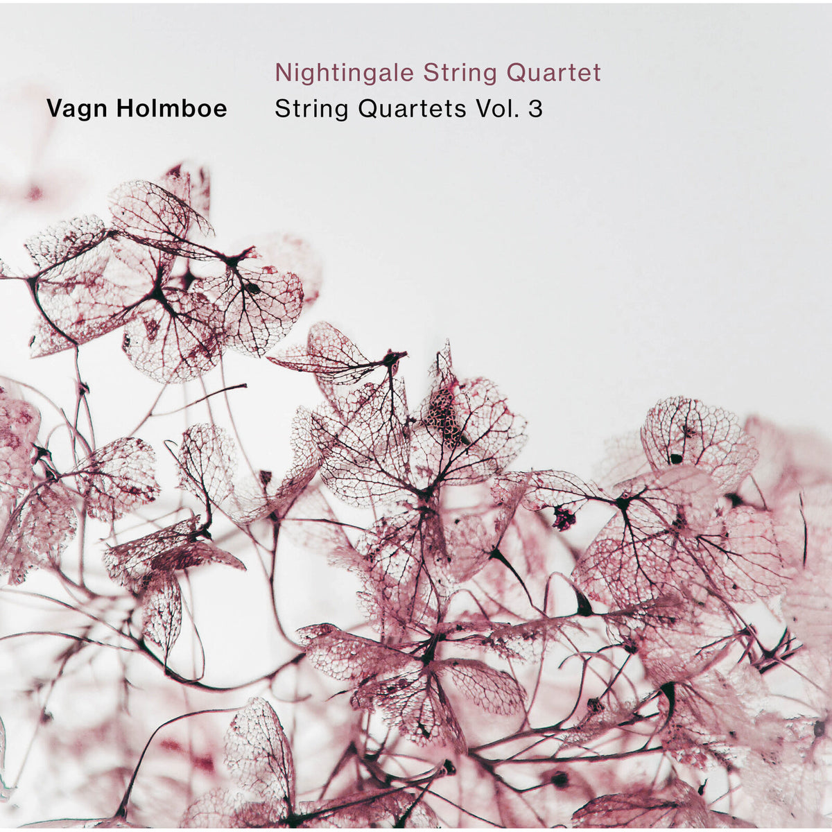 CD cover: delicate, skeletal leaves against a pale pink background.