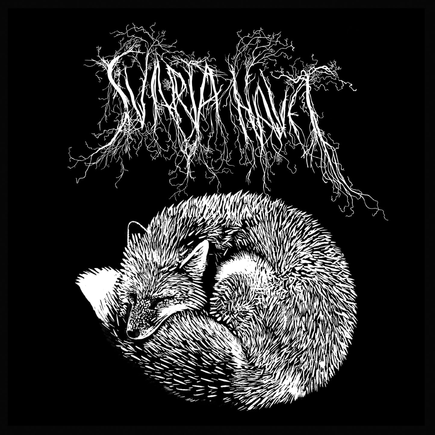 Black and white album cover depicting a curled fox under branches.