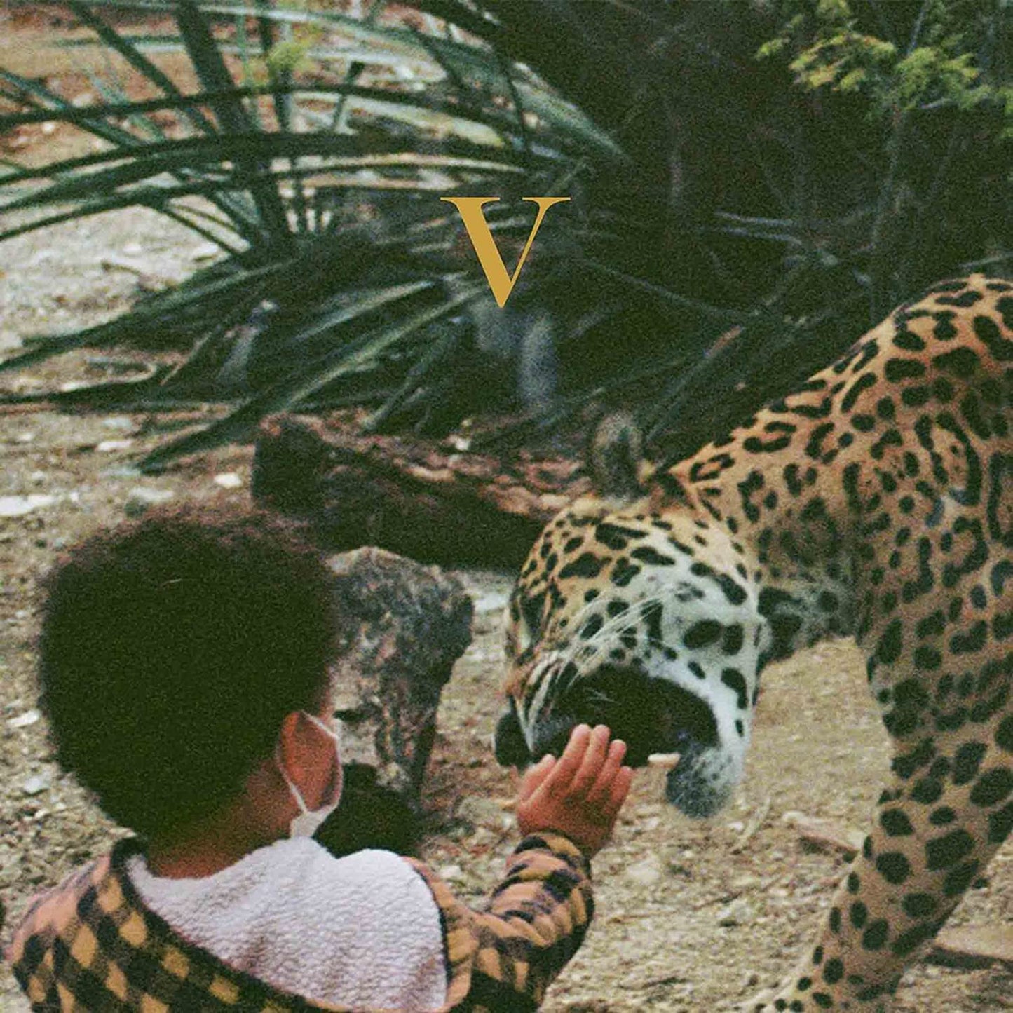 Album cover with a person, jaguar, and large letter "V" amidst foliage.