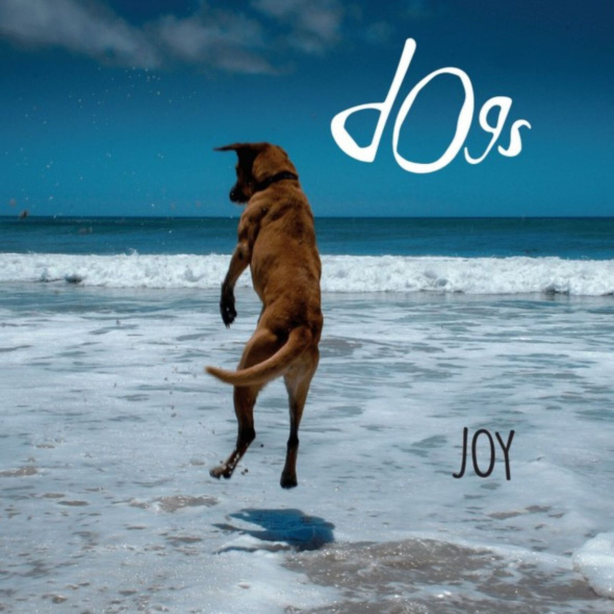 Dog jumping on a beach with ocean waves and blue sky.