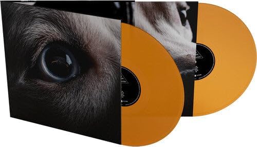 Pink Floyd’s “Dark Side of the Moon Redux” double orange vinyl record.