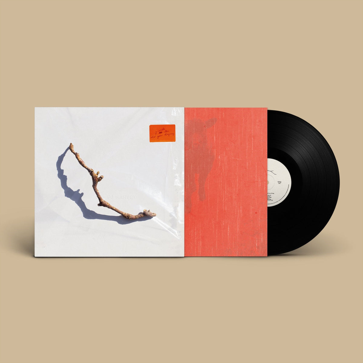 PJ Harvey vinyl LP with a stark, wintry branch on a pale cover.