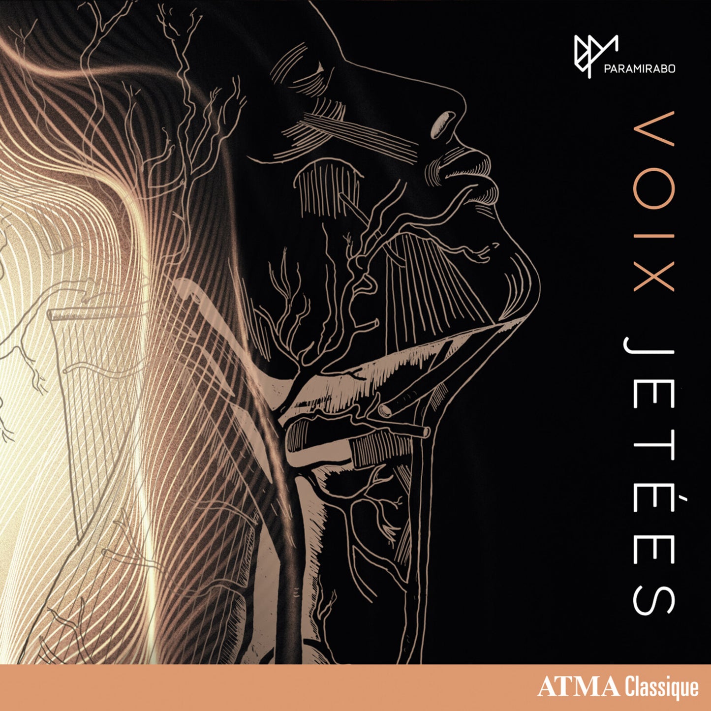 CD cover: abstract line drawing of a figure with radiating lines.