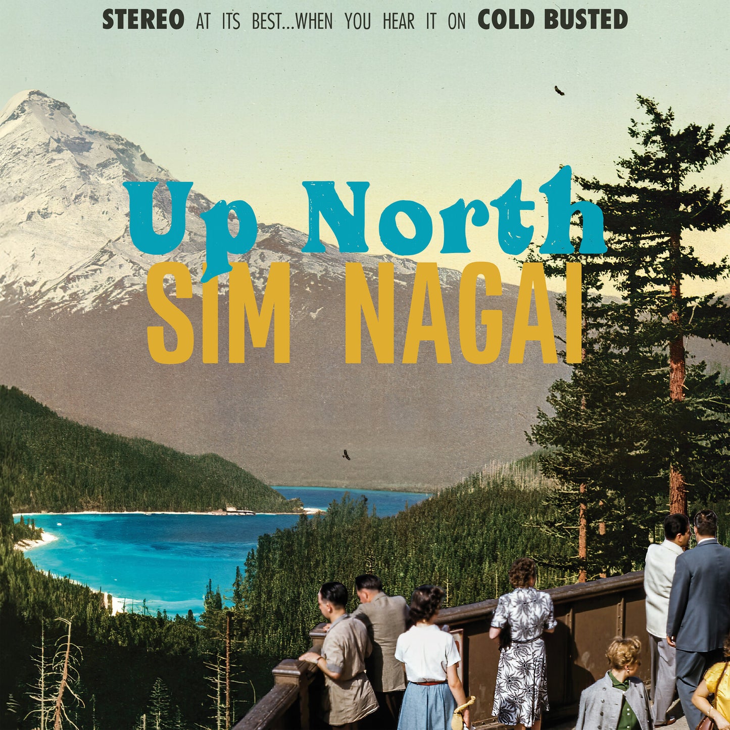 Vinyl album cover for Sim Nagaiās āUp Northā with mountain landscape.