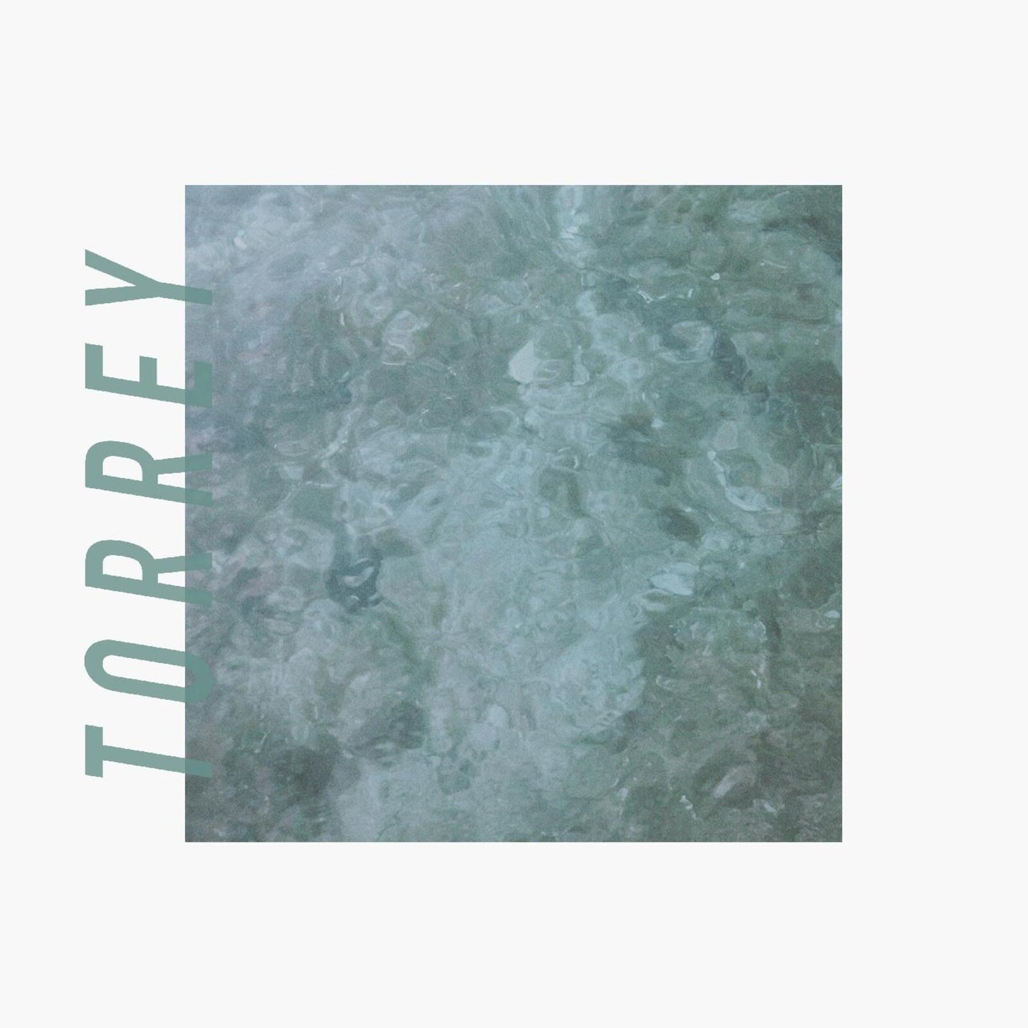 Album cover for Torrey with textured green and white background.