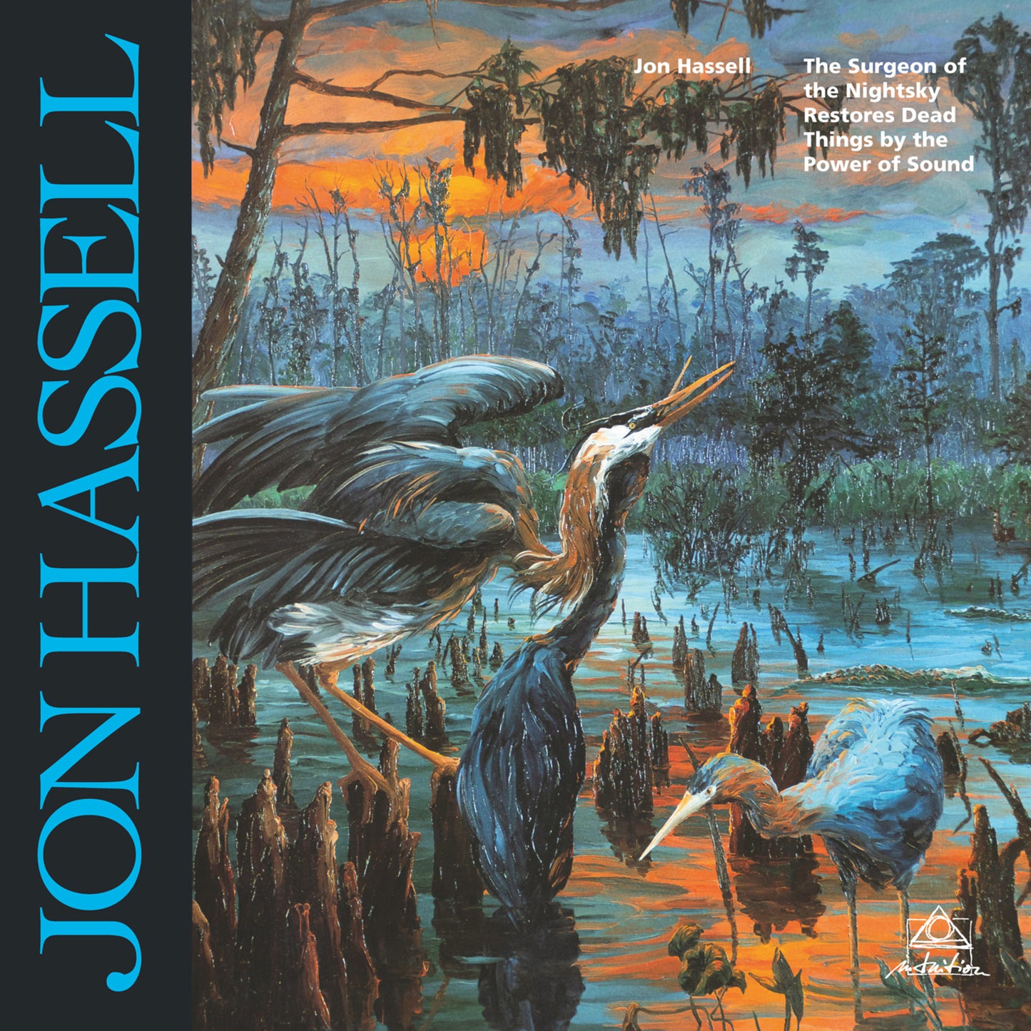 Vinyl album cover for Jon Hassell’s “The Surgeon of the Nightsky” featuring birds.