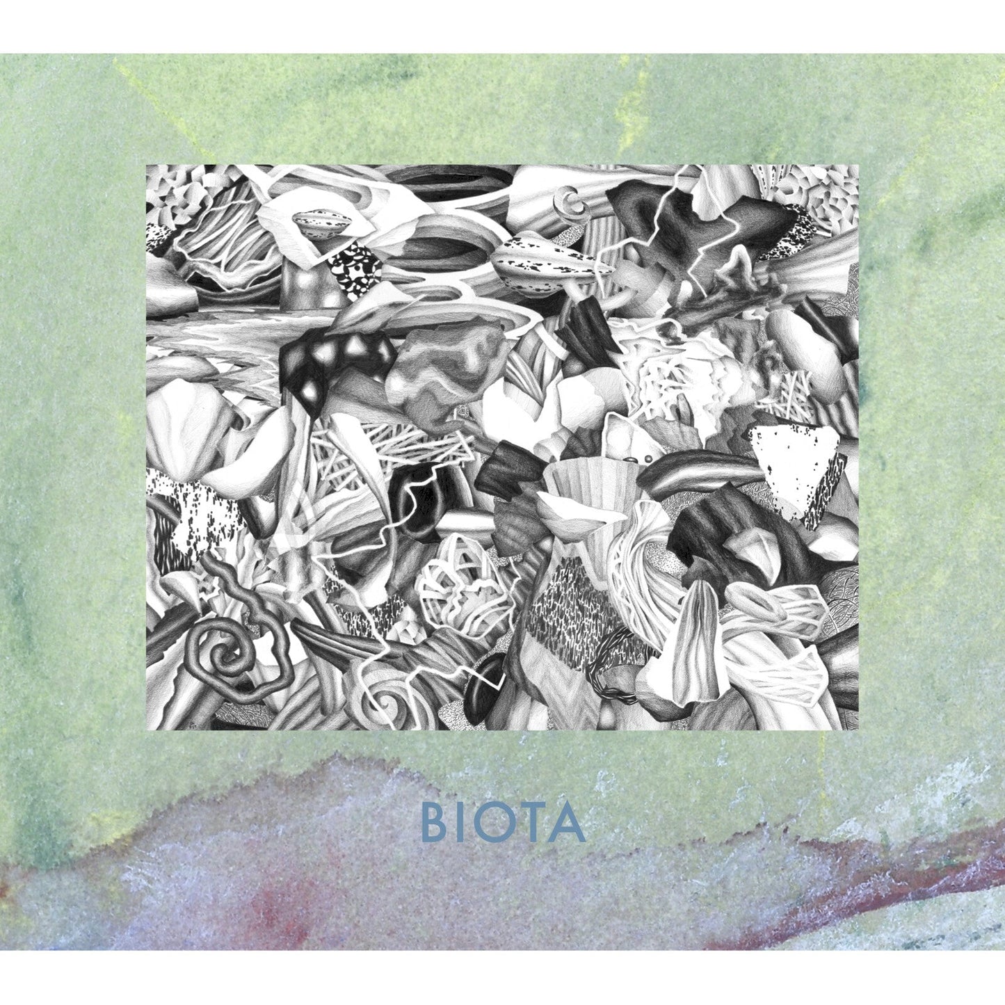 CD cover with detailed black and white pencil drawing of organic shapes.