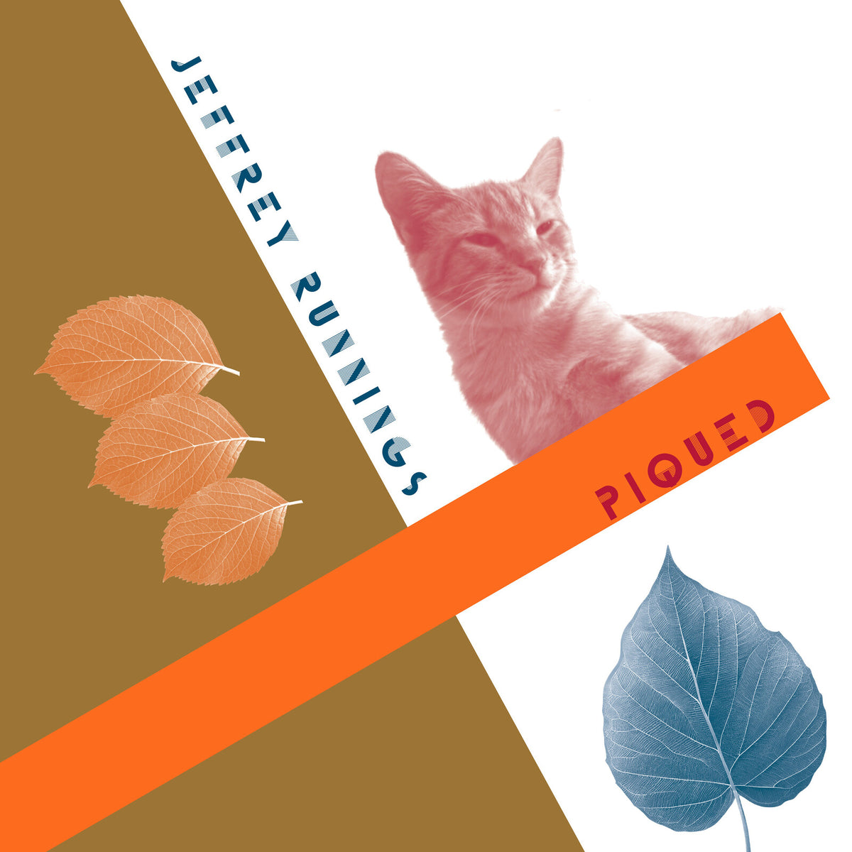 Album cover with a cat, leaves, and bold orange and blue blocks.
