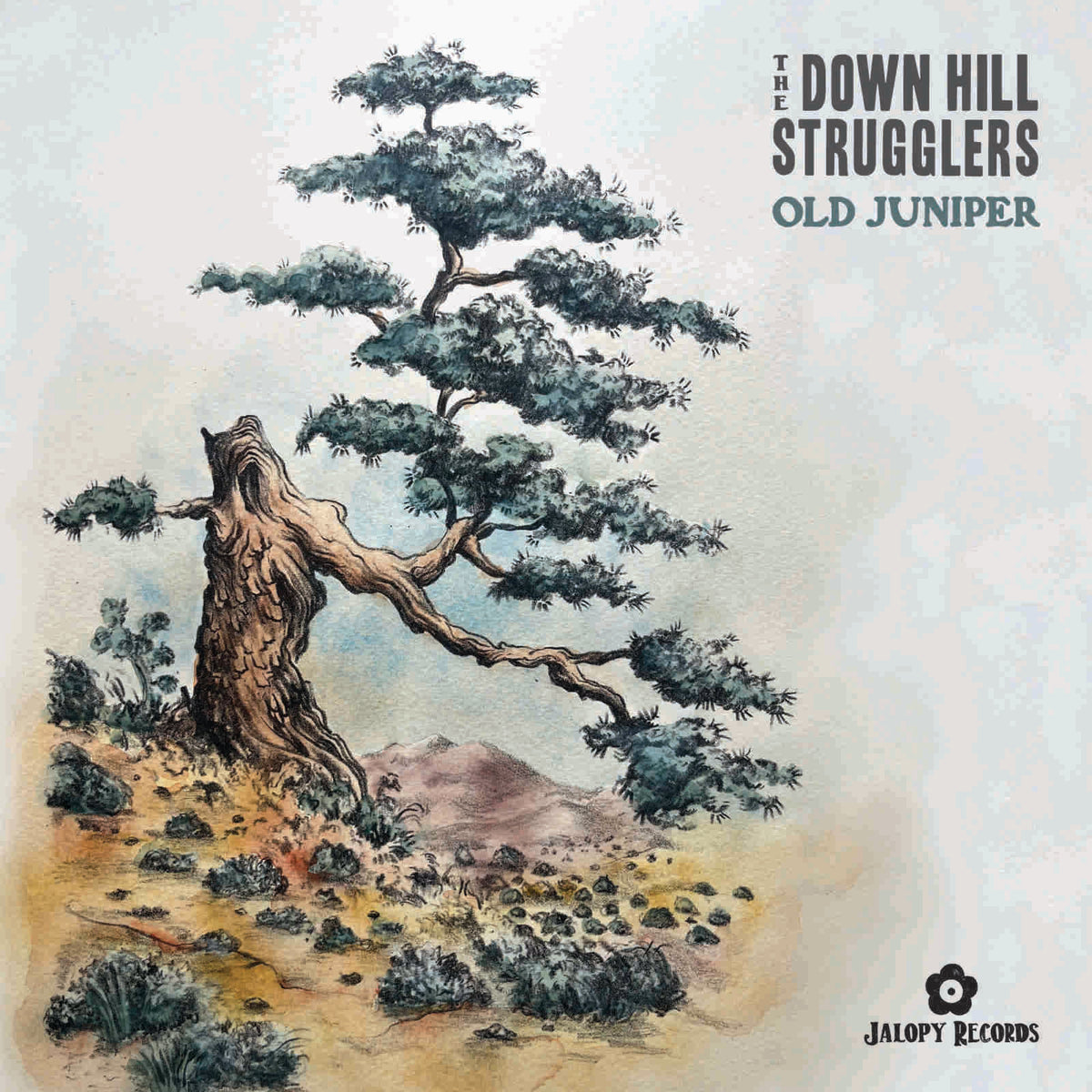 Album cover for The Down Hill Strugglers’ “Old Juniper” featuring a painted juniper tree.