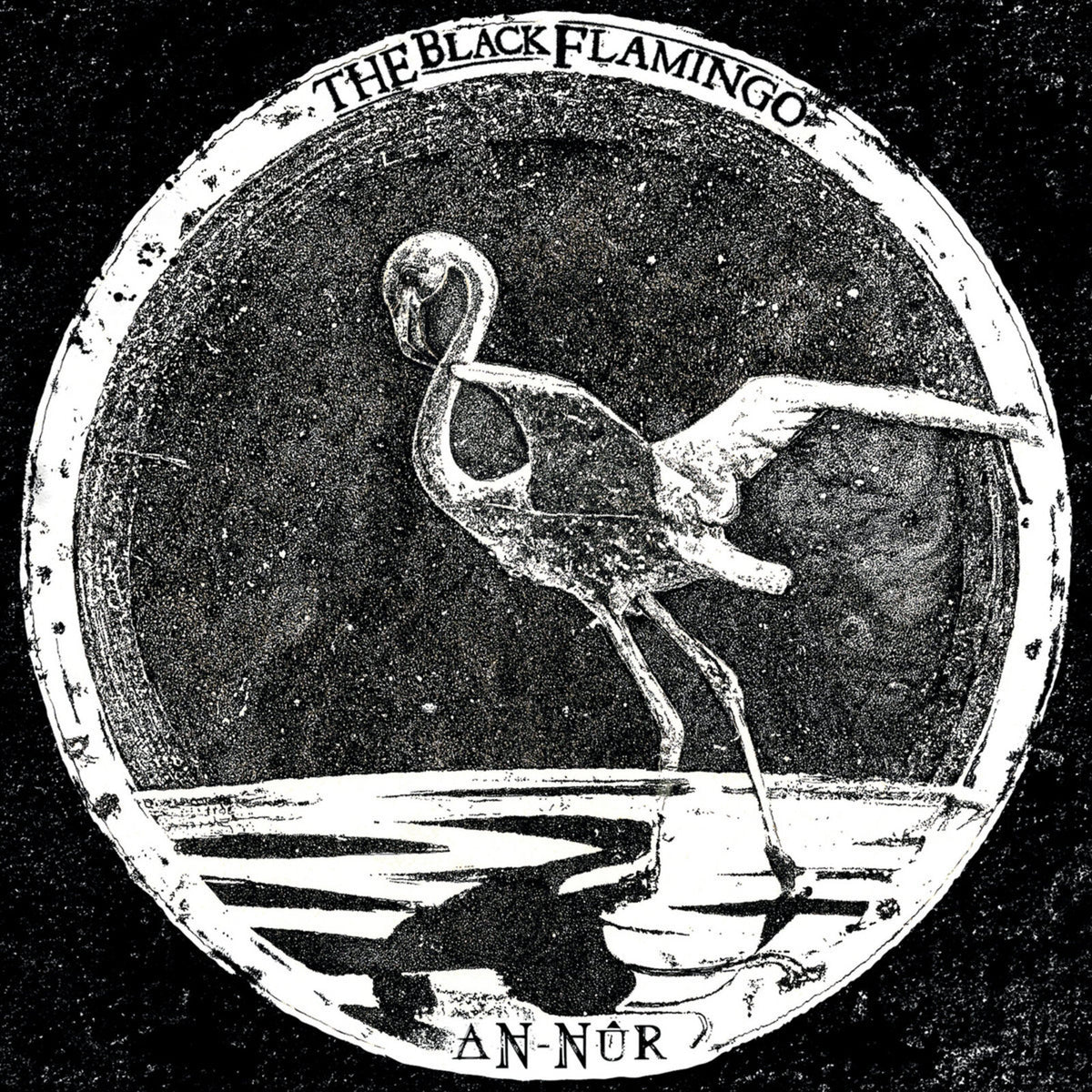 Black and white illustration of a flamingo in a circular frame.