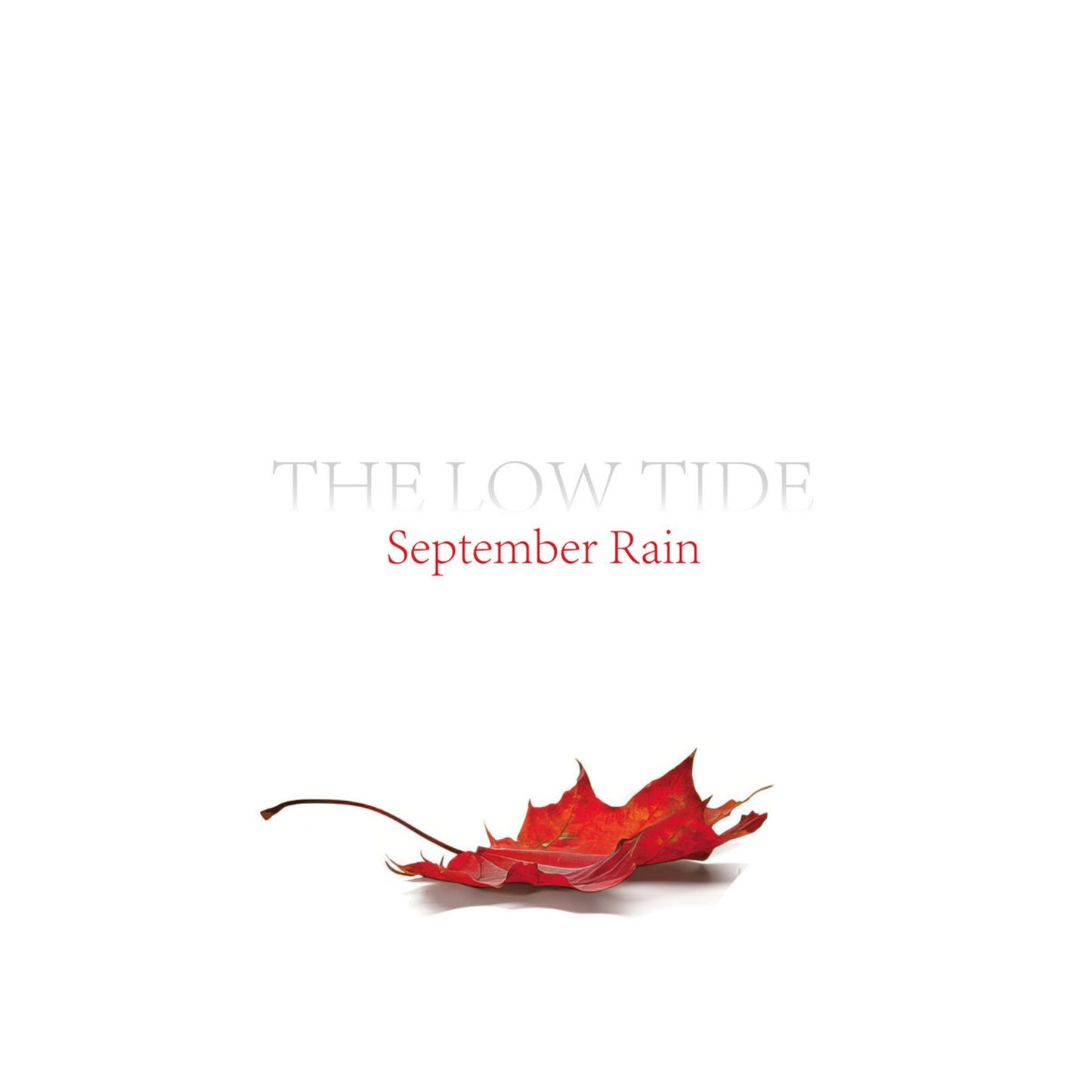 CD cover for "September Rain" by The Low Tide, with a red leaf.