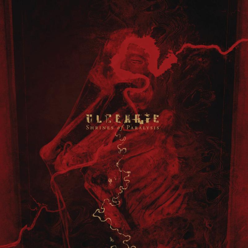 Dark album cover with distorted, red-toned imagery of a face and tendrils.