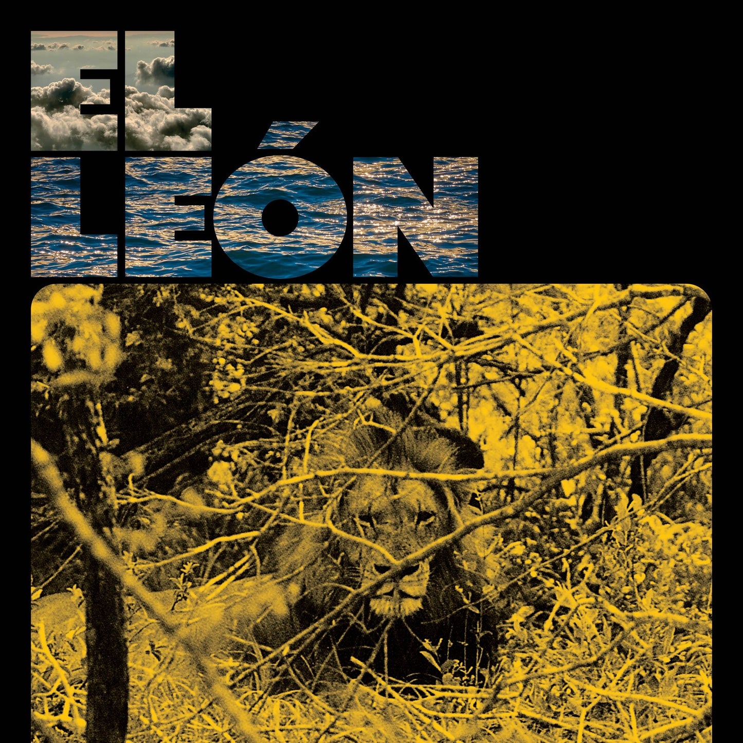 Album cover: lion in foliage with ocean and cloudy sky backdrop.