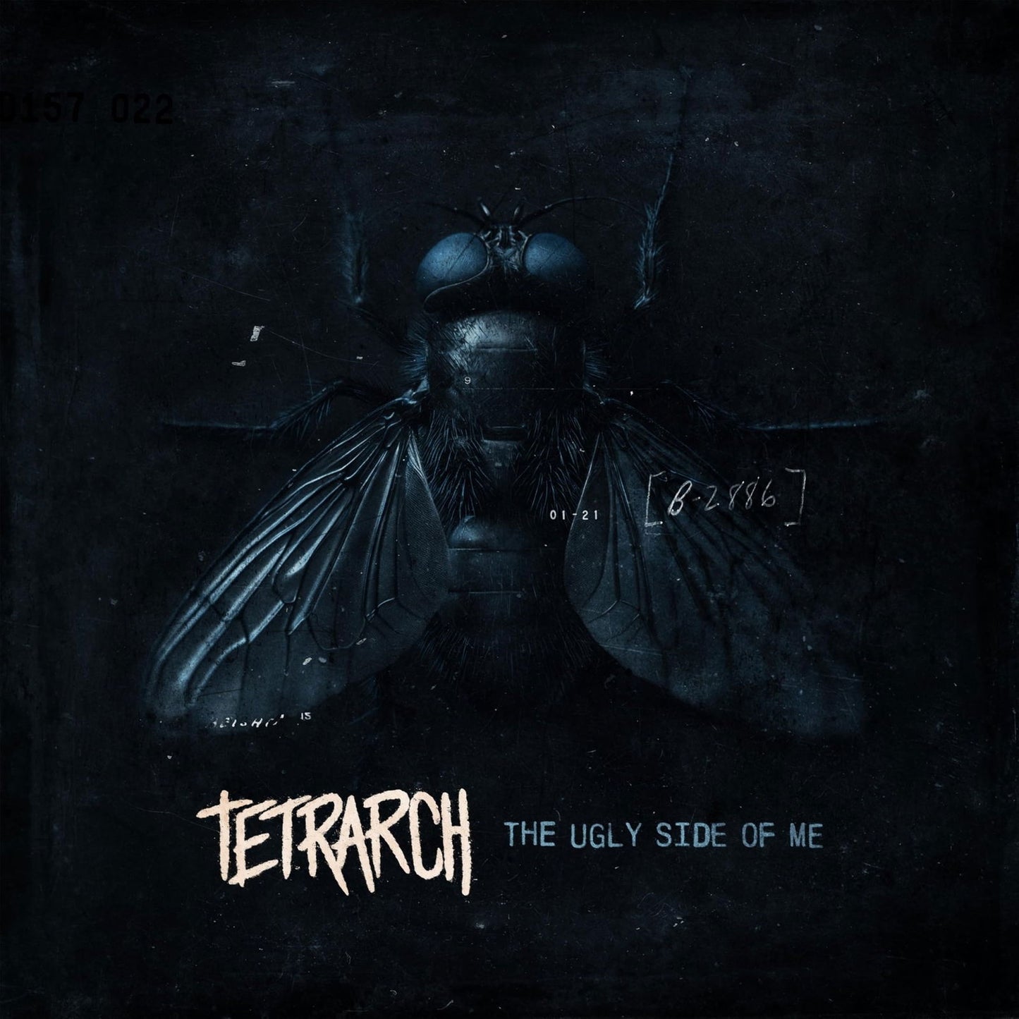 Dark album cover featuring a close-up of a fly with the text Tetrarch.