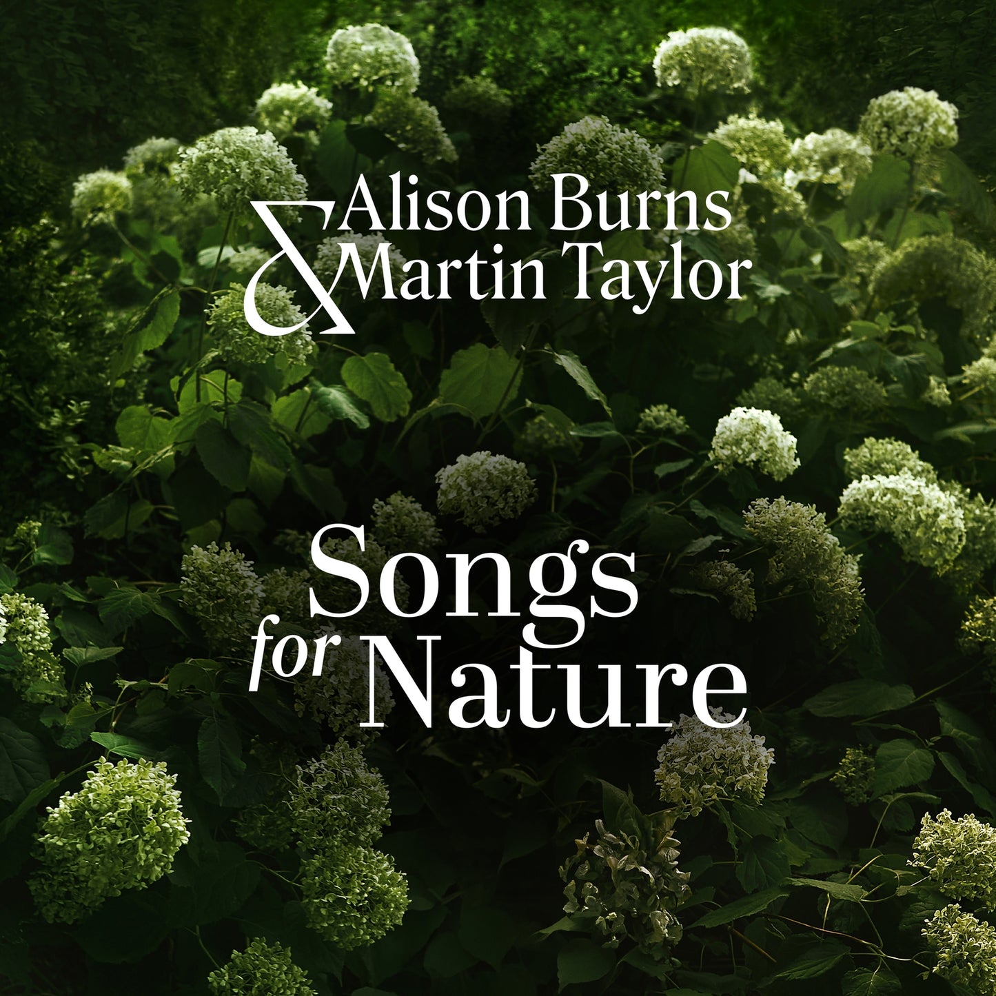 CD cover with white flowers and text "Alison Burns & Martin Taylor - Songs for Nature.