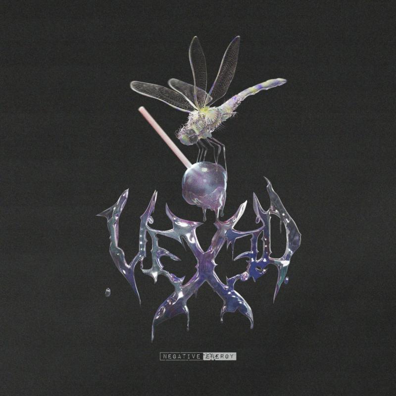 CD cover with a dark, abstract design featuring a dragonfly and text.