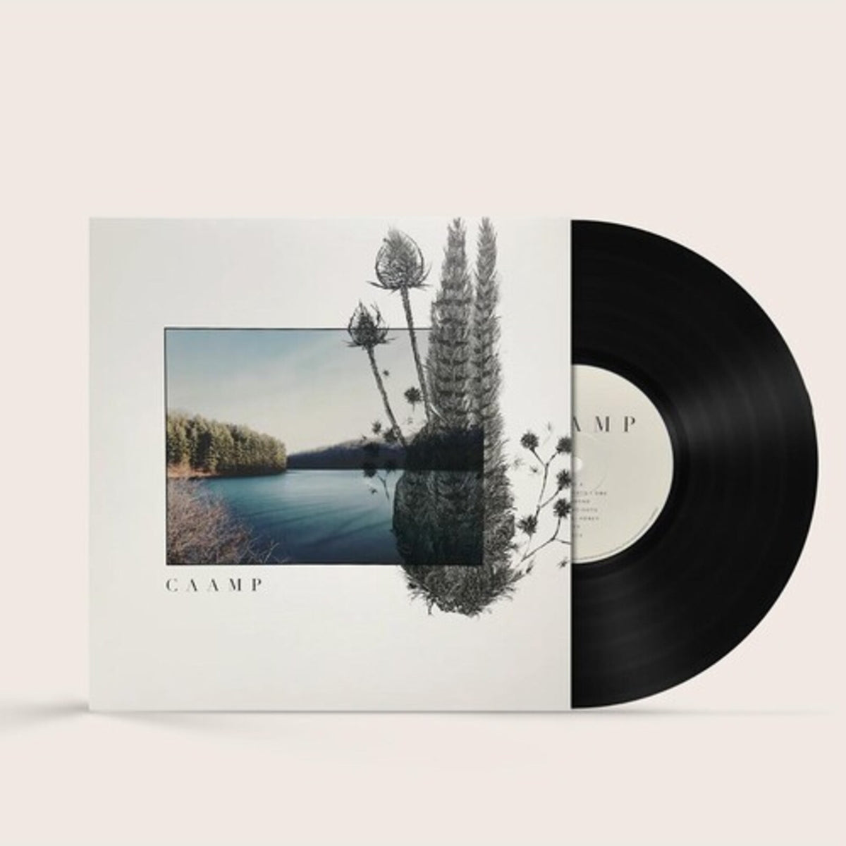 Caamp vinyl record with landscape and floral album art.