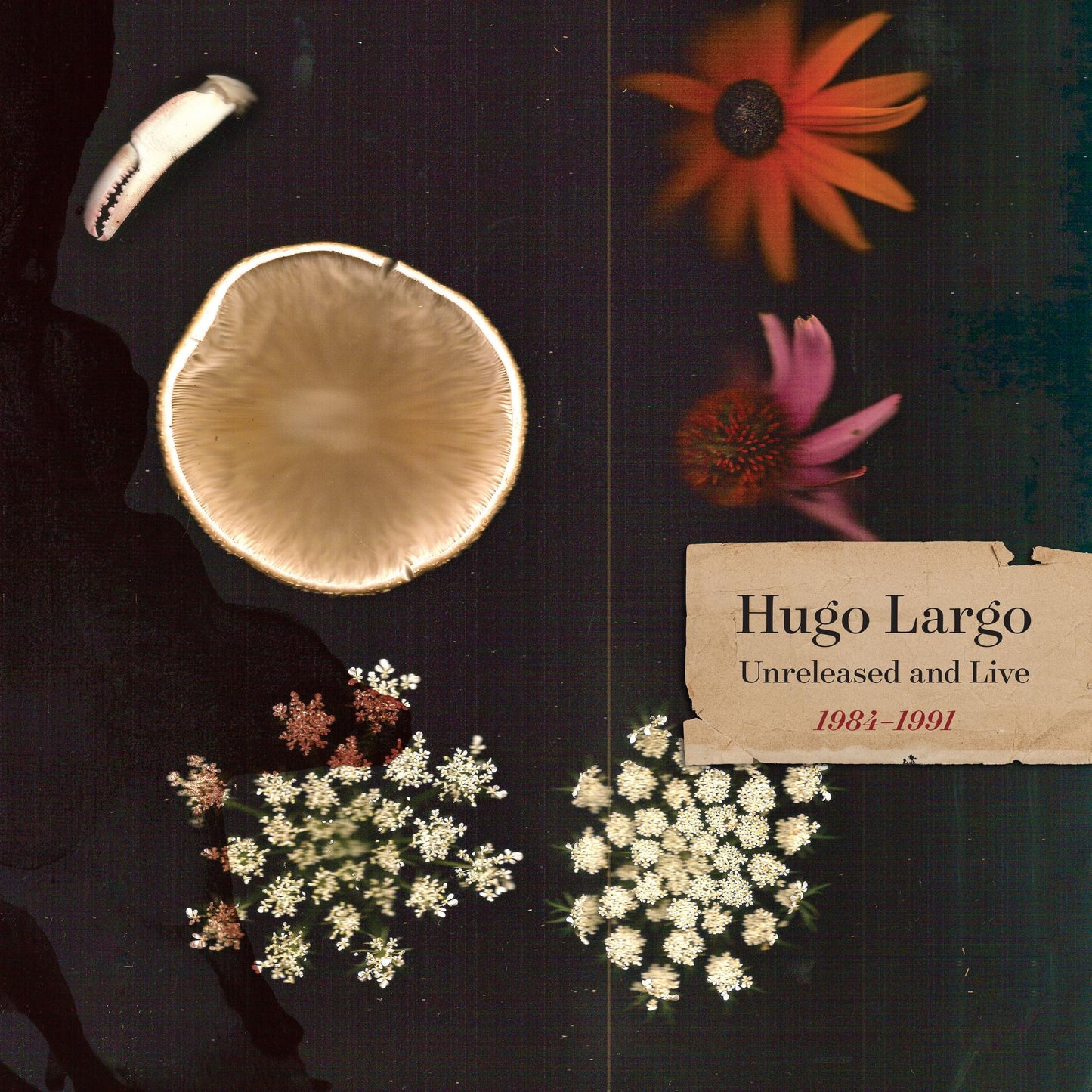 CD cover with a shell, mushroom, flowers, and handwritten text.