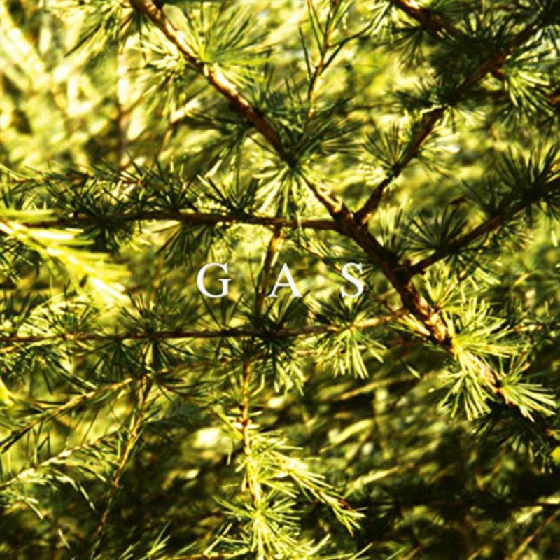 Album cover for GAS - POP with evergreen branches and white text.