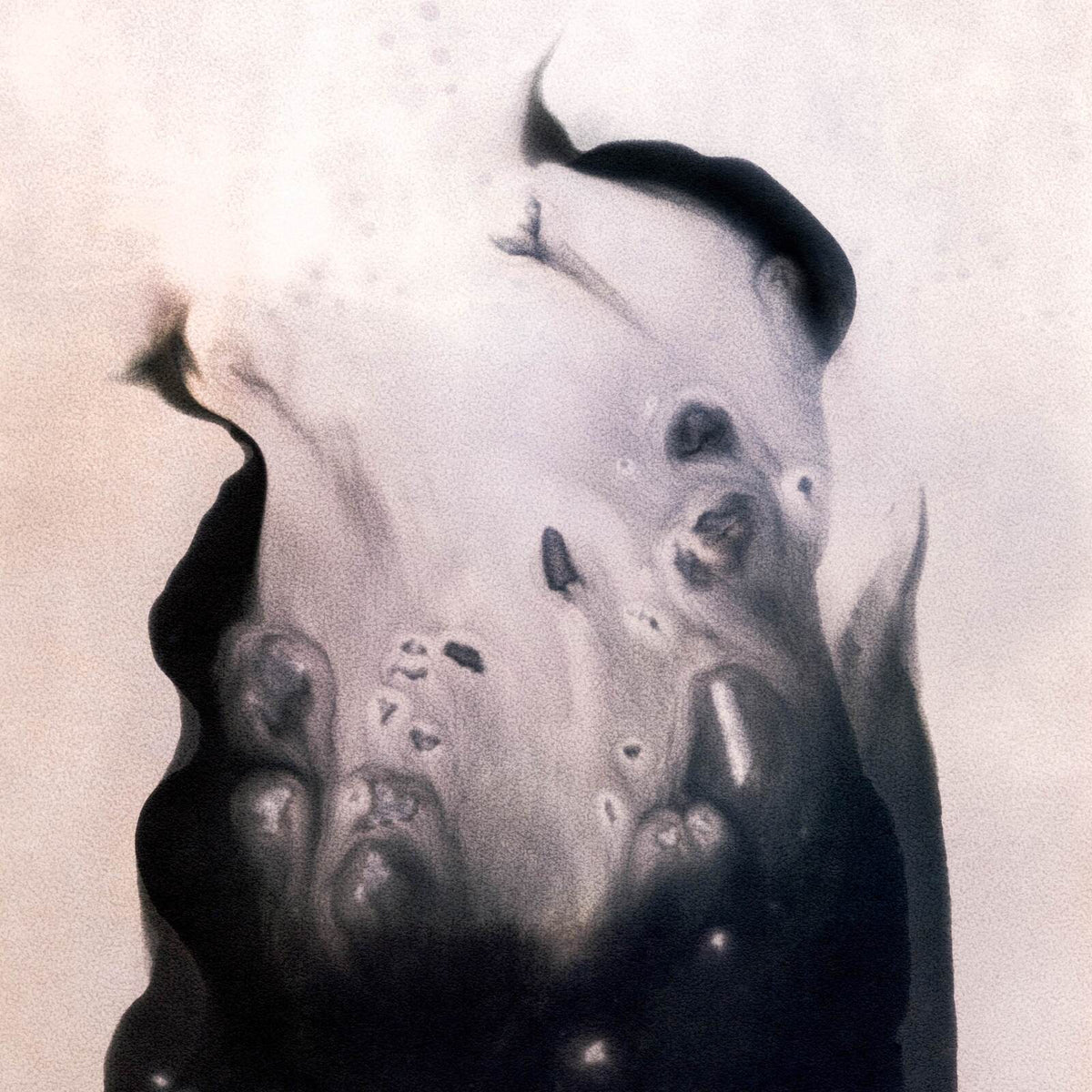 Close-up, abstract black and white image of textured, flowing shapes.