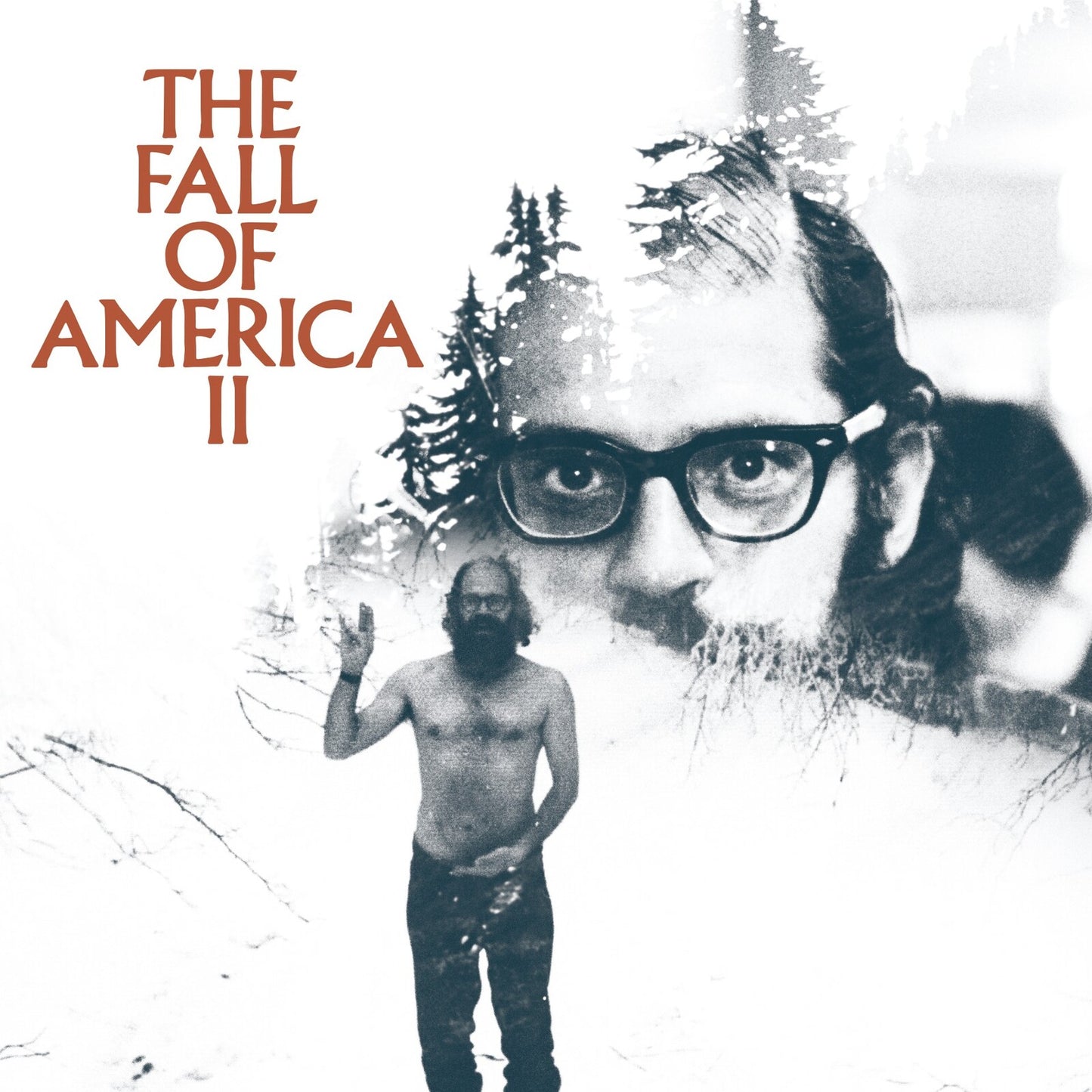 Album cover featuring Allen Ginsberg’s face and a smaller figure in front.