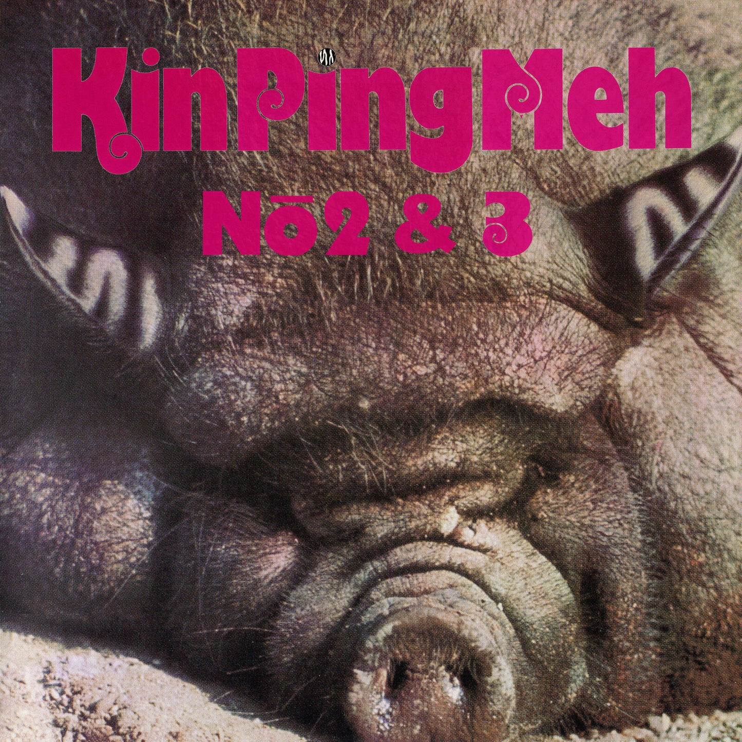Close-up of a pig's face with the text Kin Ping Meh No 2 & 3.