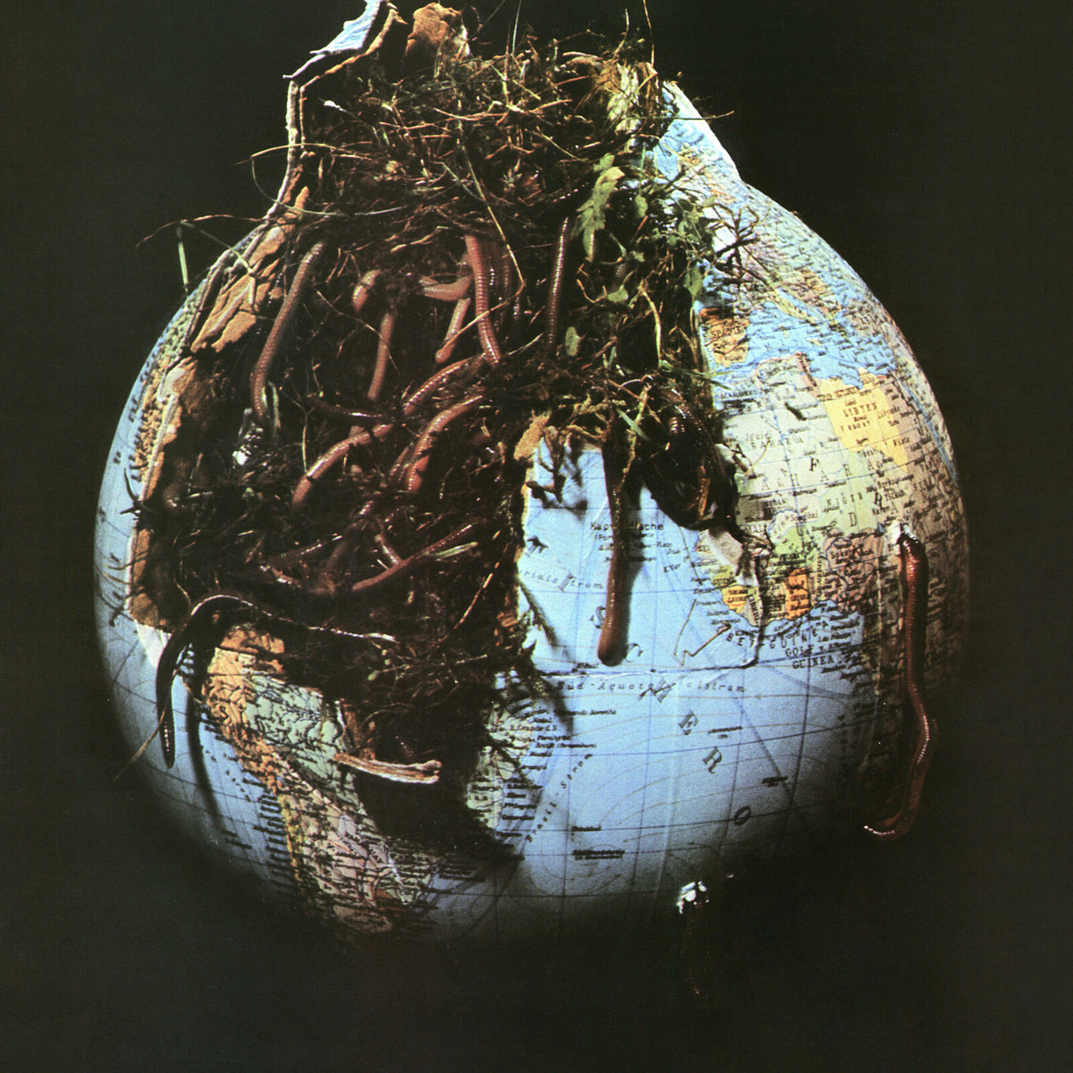 Globe partially covered in tangled branches and roots, dark background.