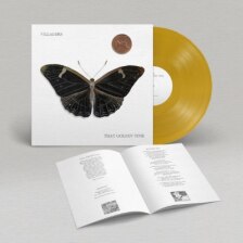 Villagers album "That Golden Time" vinyl record with butterfly illustration.