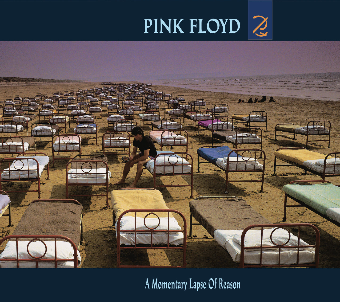 A man sits on a bed among hundreds of hospital beds on a beach.